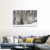 "A Lynx with her cub" Canvas Wall Art