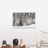 "A Lynx with her cub" Canvas Wall Art
