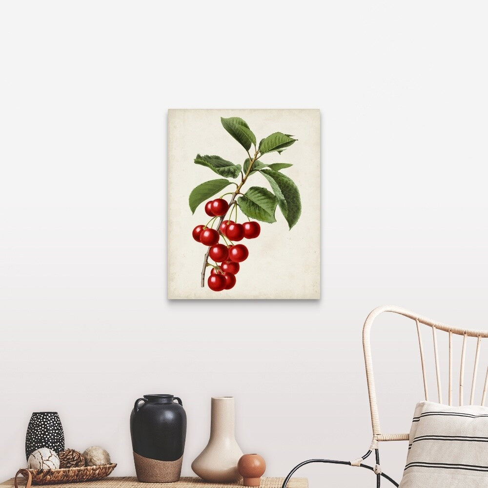 "Antique Fruit II" Canvas Wall Art