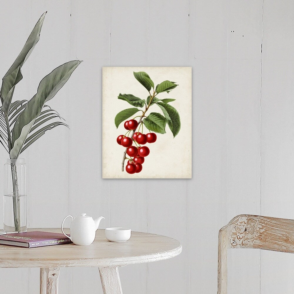 "Antique Fruit II" Canvas Wall Art