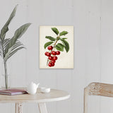 "Antique Fruit II" Canvas Wall Art