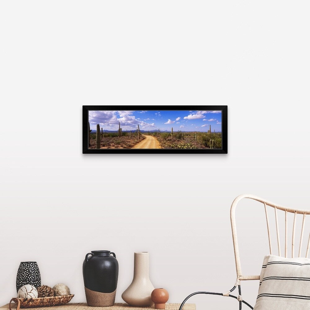 "Arizona, Saguaro National Park, road" Black Framed Print