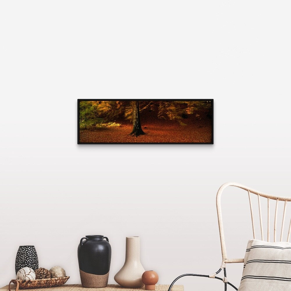"Autumn Leaves Perthshire Scotland " Black Float Frame Canvas Art