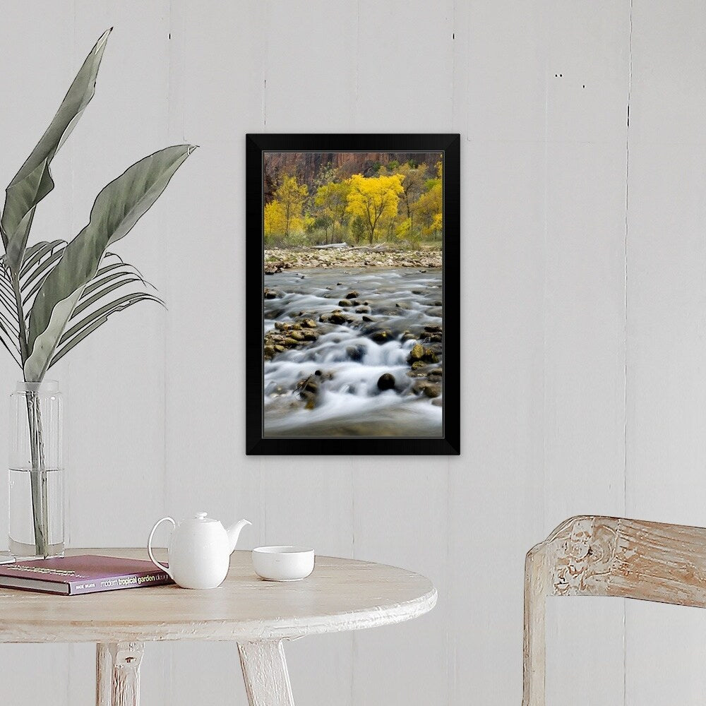 "Autumn along the Virgin River in Zion Canyon, Zion National Park, Utah" Black Framed Print