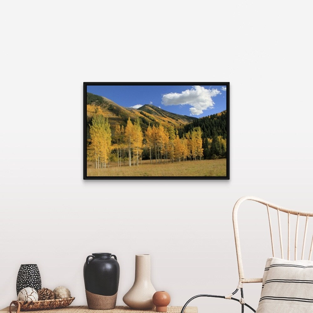 "Autumn aspen trees in the Maroon Bells valley, Elk Mountains, Colorado, USA" Black Float Frame Canvas Art