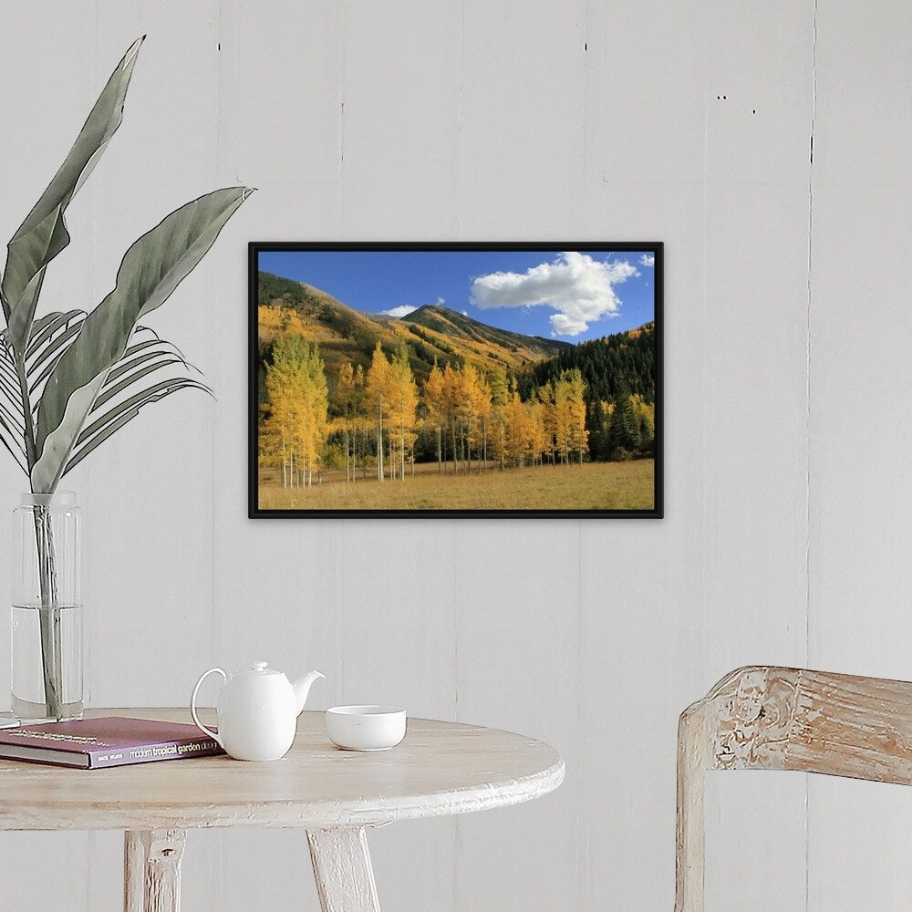 "Autumn aspen trees in the Maroon Bells valley, Elk Mountains, Colorado, USA" Black Float Frame Canvas Art