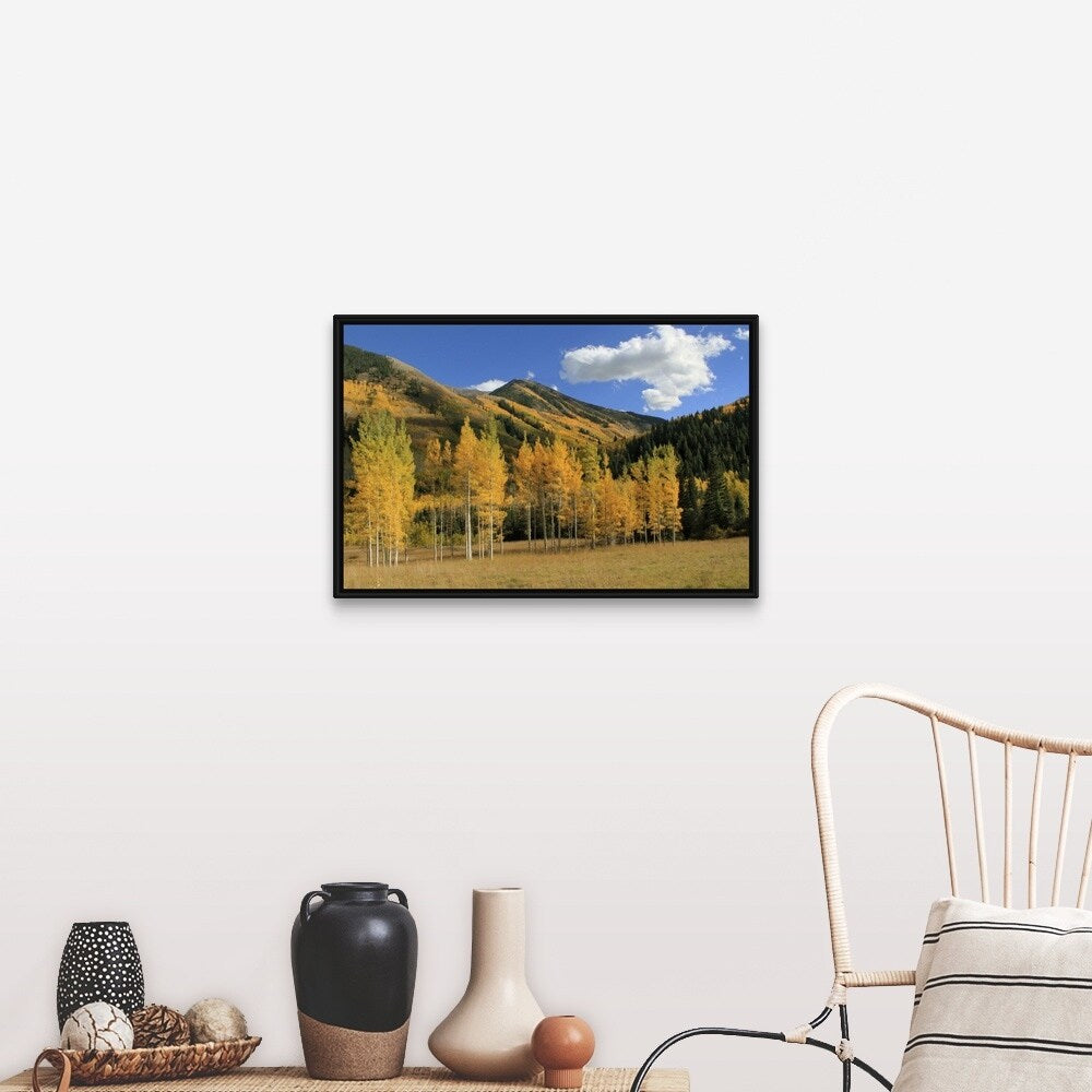 "Autumn aspen trees in the Maroon Bells valley, Elk Mountains, Colorado, USA" Black Float Frame Canvas Art