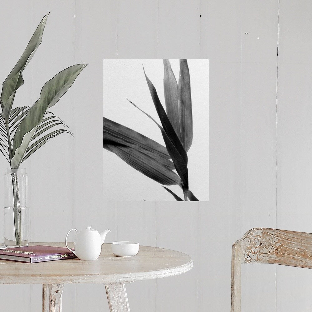"B&W Bamboo III" Poster Print