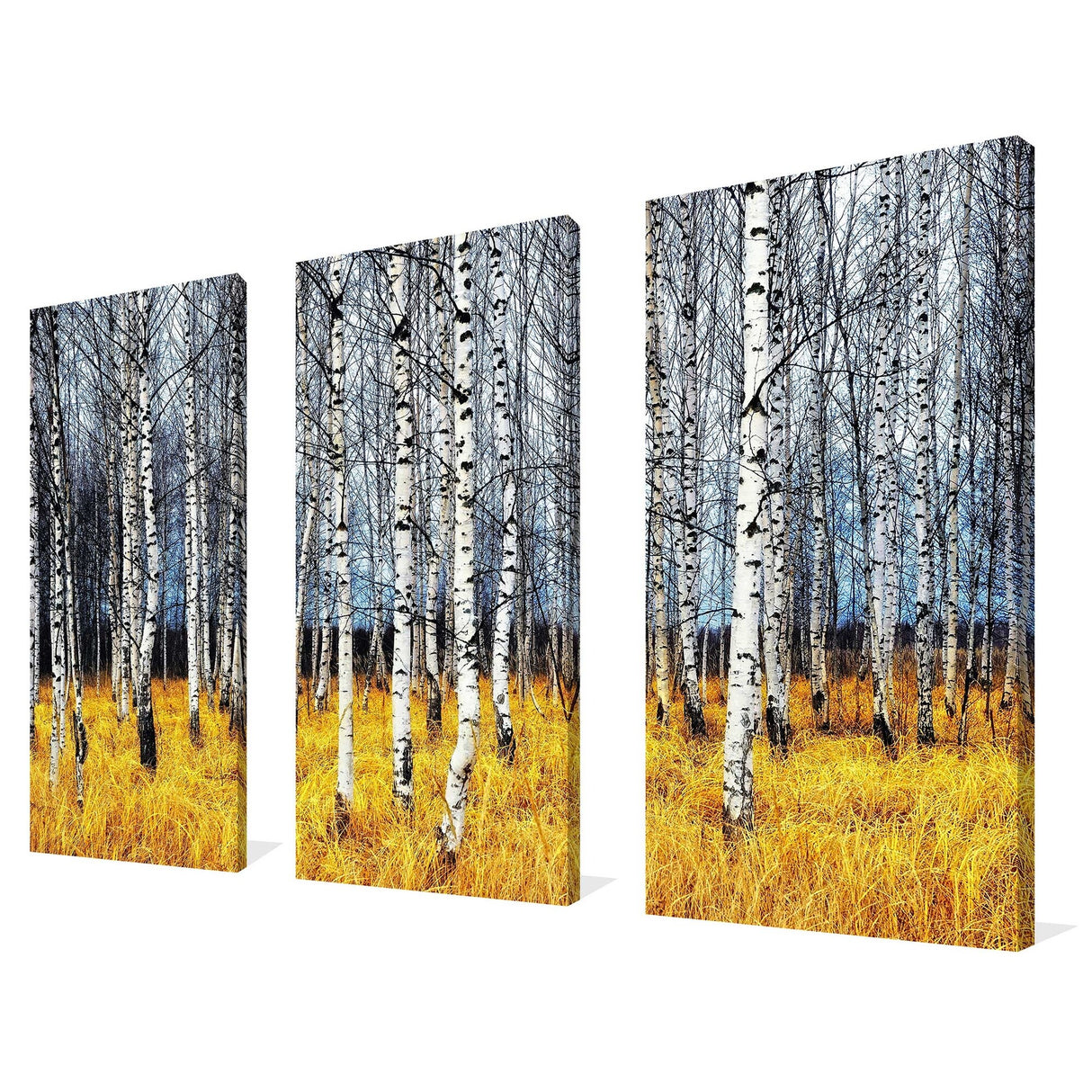 "Birch Trees 2" 3 Piece Set on Canvas