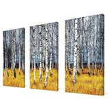 "Birch Trees 2" 3 Piece Set on Canvas
