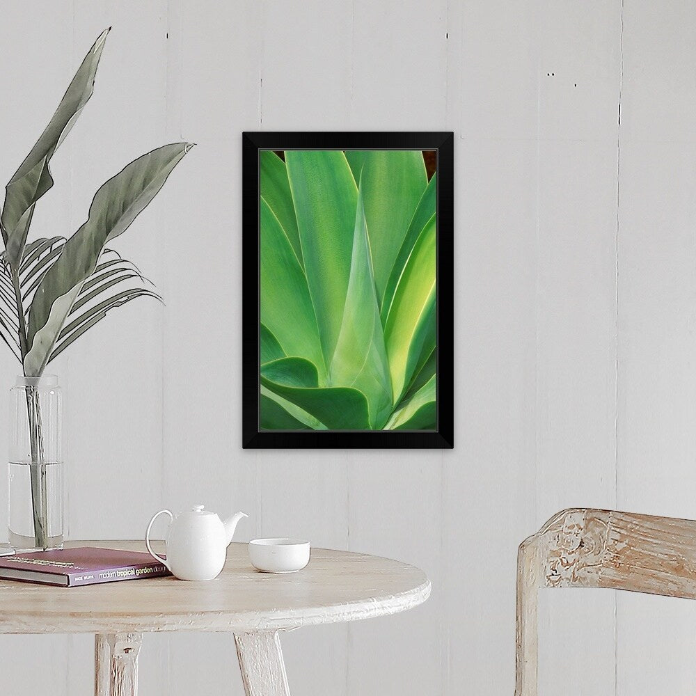 "Cactus, southern California" Black Framed Print