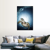 "Cayman Sun ball turtle" Poster Print - Multi