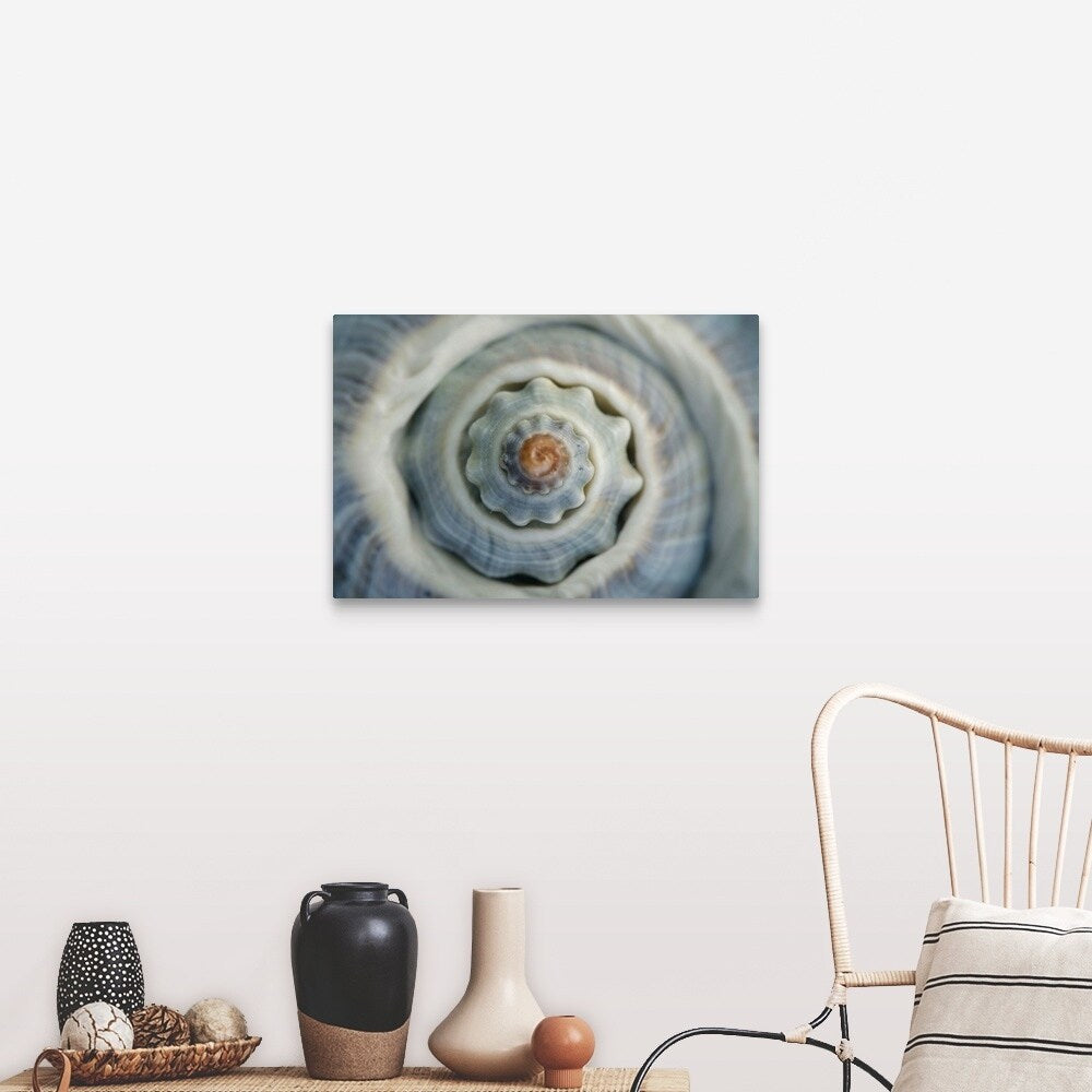 "Colorful conch shell spiral, Vienna, Austria" Canvas Wall Art