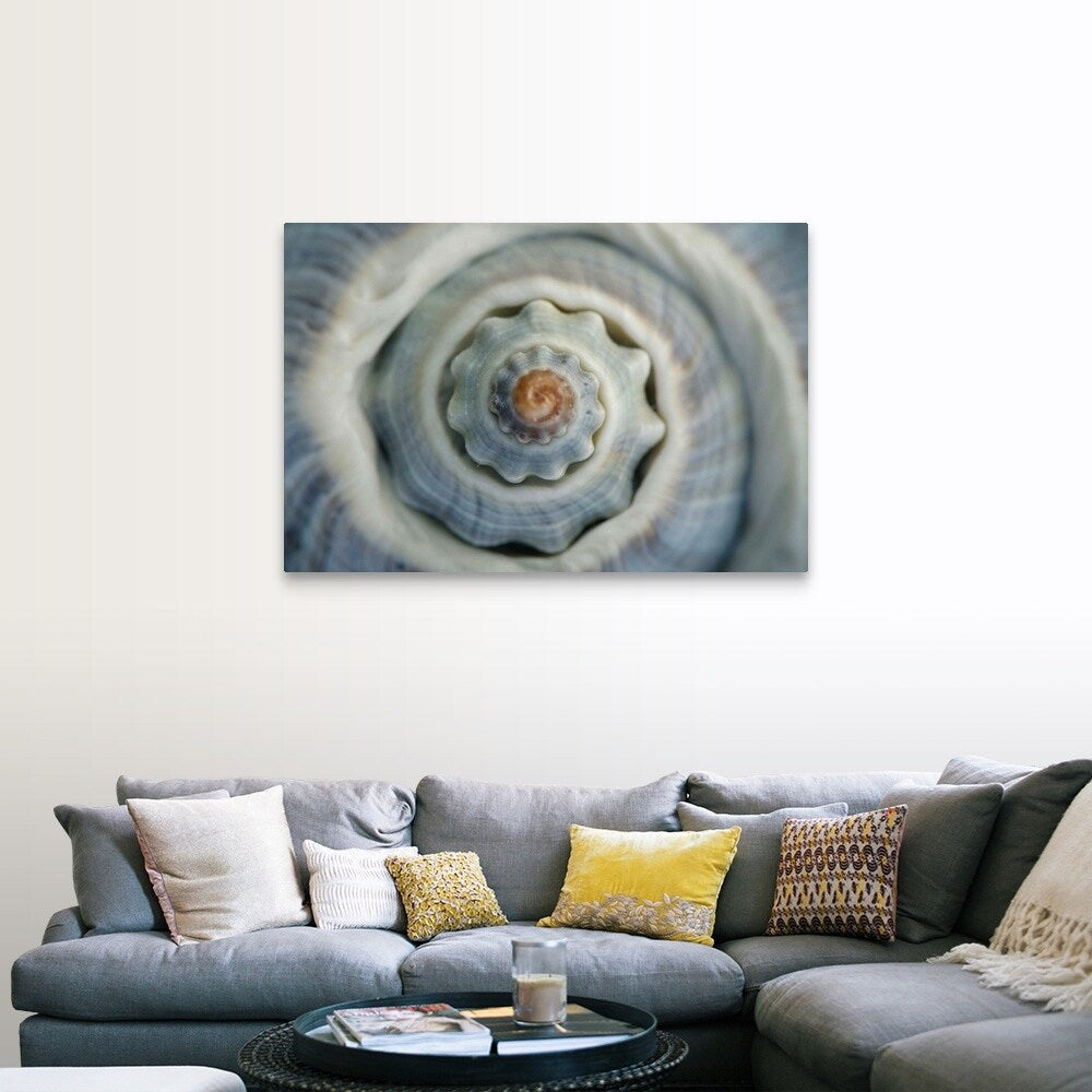 "Colorful conch shell spiral, Vienna, Austria" Canvas Wall Art