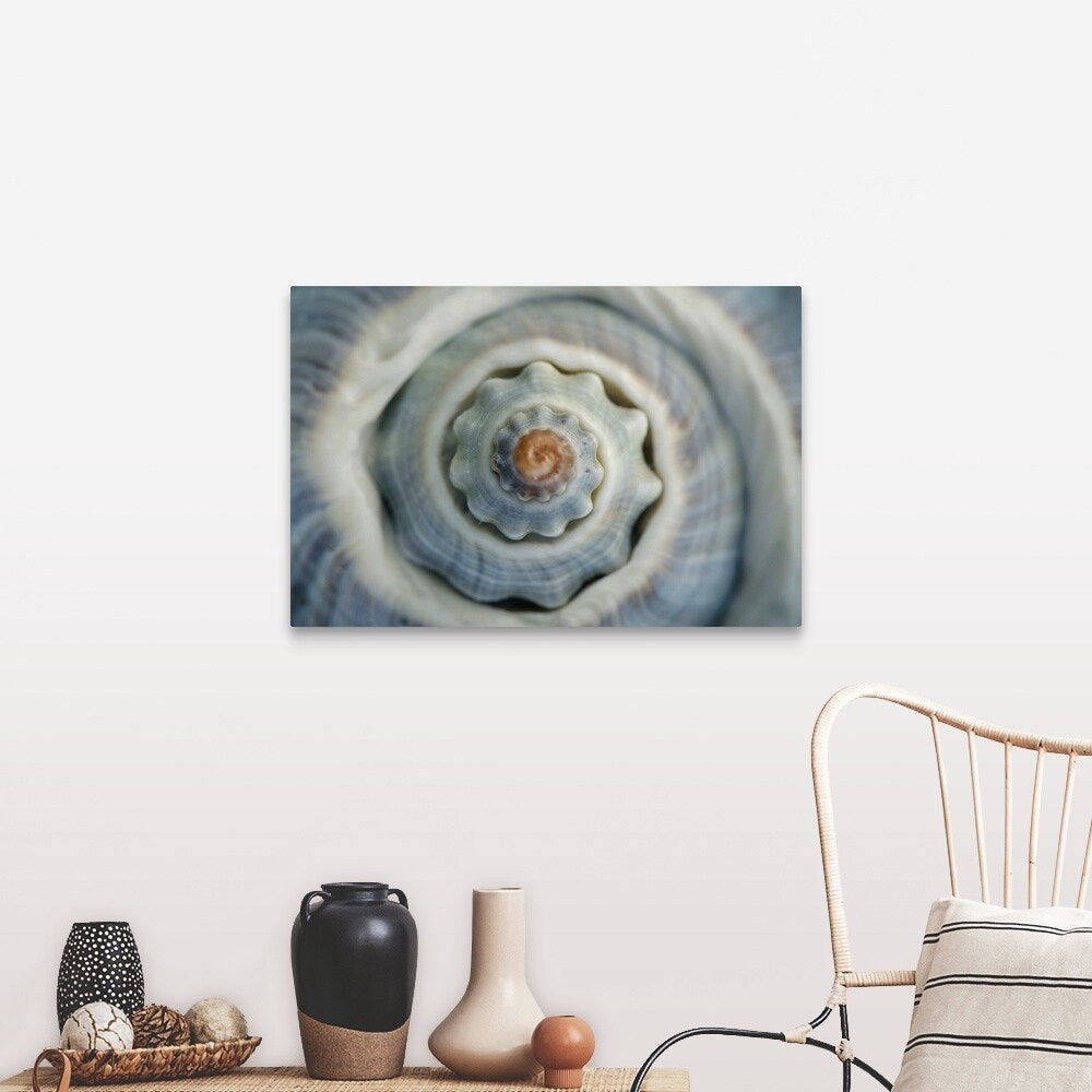 "Colorful conch shell spiral, Vienna, Austria" Canvas Wall Art