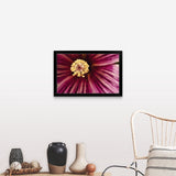 "Detail Of Tree Mallow Pistil-Stamen (Lavatera Assurgentiflora)" Black Framed Print