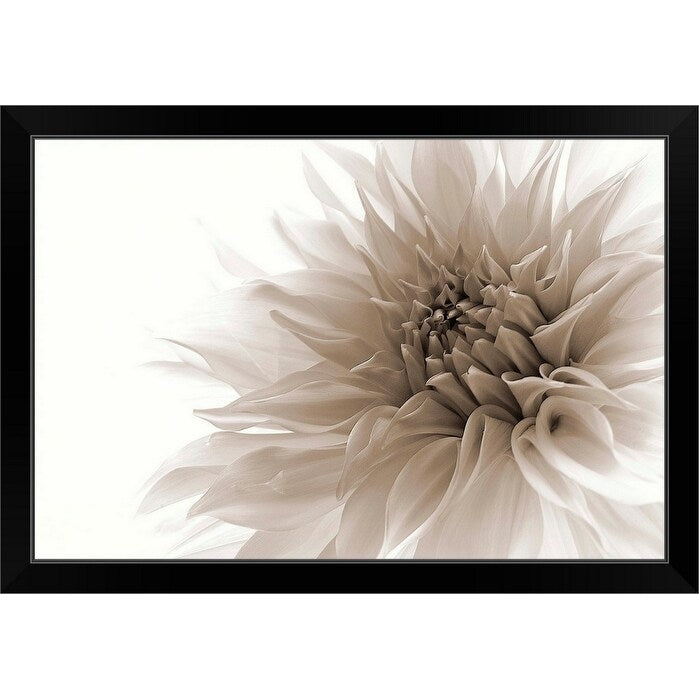 "Dignified" Black Framed Print
