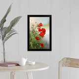 "Flanders poppy with sun flare." Black Framed Print