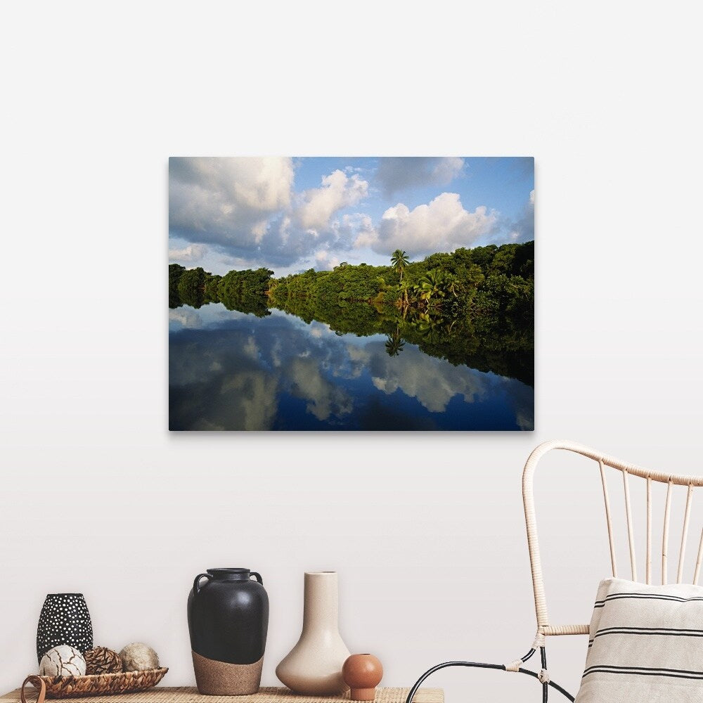 "Forest along the riverbank and reflection of cloud in water, Sibun River, Belize" Canvas Wall Art