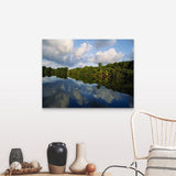 "Forest along the riverbank and reflection of cloud in water, Sibun River, Belize" Canvas Wall Art