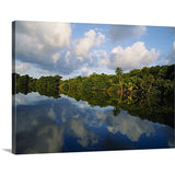 "Forest along the riverbank and reflection of cloud in water, Sibun River, Belize" Canvas Wall Art