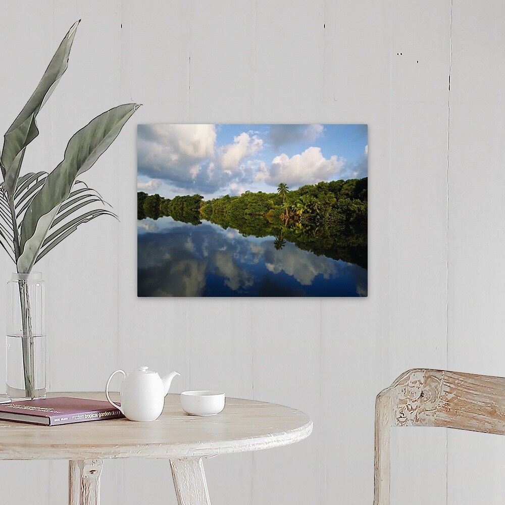 "Forest along the riverbank and reflection of cloud in water, Sibun River, Belize" Canvas Wall Art