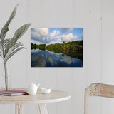 "Forest along the riverbank and reflection of cloud in water, Sibun River, Belize" Canvas Wall Art