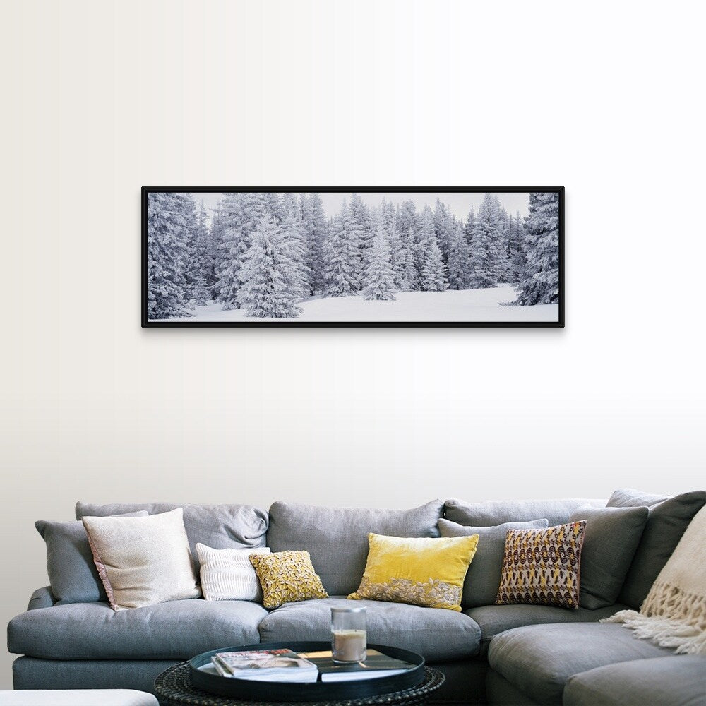 "Fresh Snow on Pine Trees Taos County NM" Black Float Frame Canvas Art