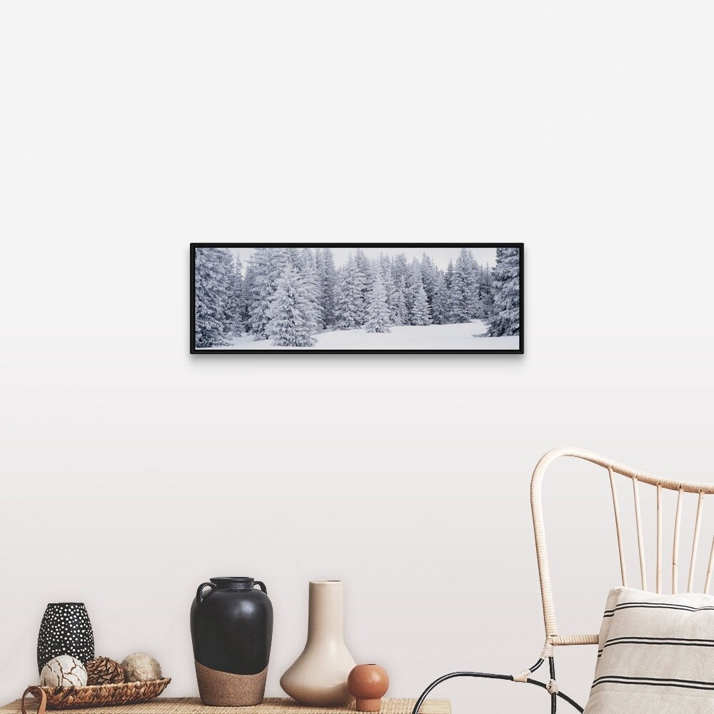 "Fresh Snow on Pine Trees Taos County NM" Black Float Frame Canvas Art