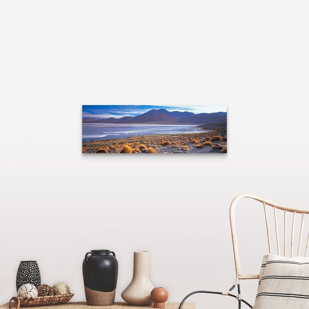 "Grass on the beach, Laguna Colorada, Potosi, Bolivia" Canvas Wall Art