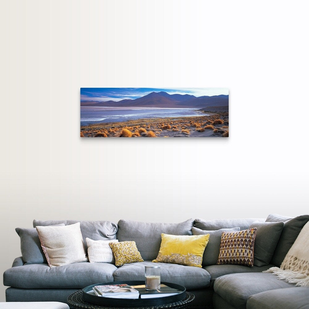 "Grass on the beach, Laguna Colorada, Potosi, Bolivia" Canvas Wall Art