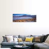 "Grass on the beach, Laguna Colorada, Potosi, Bolivia" Canvas Wall Art
