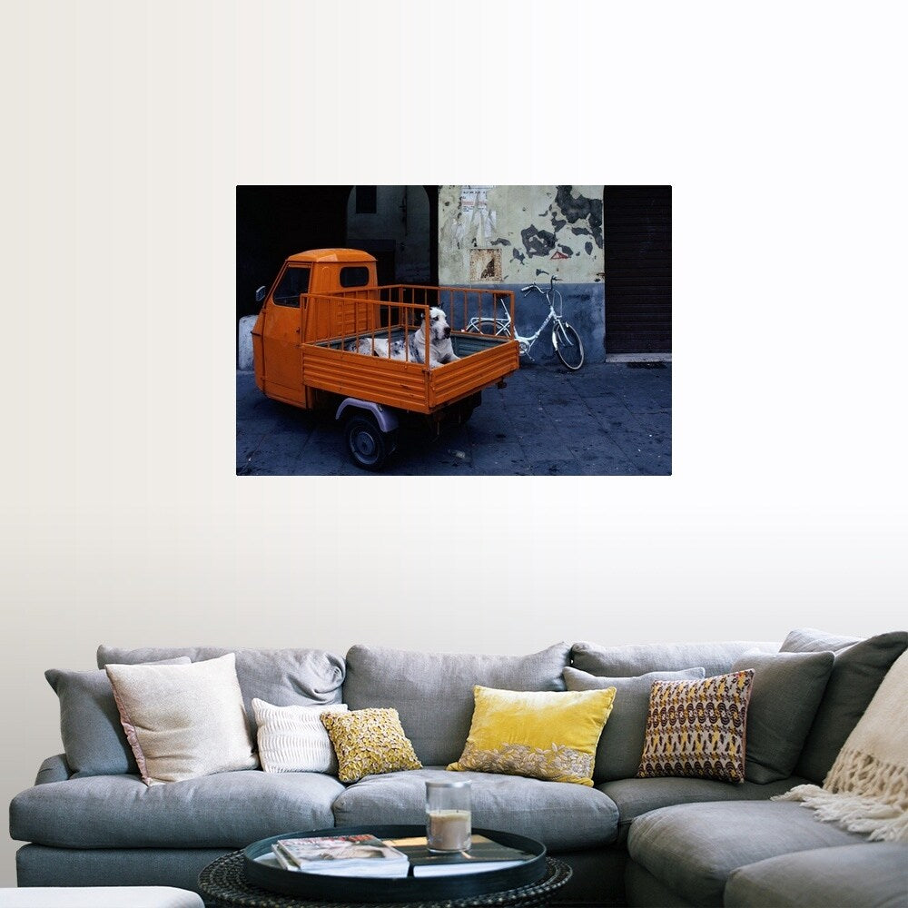 "Great Dane dog in the back of tiny orange 3-wheeled truck in Lucca, Tuscany, " Poster Print - Multi