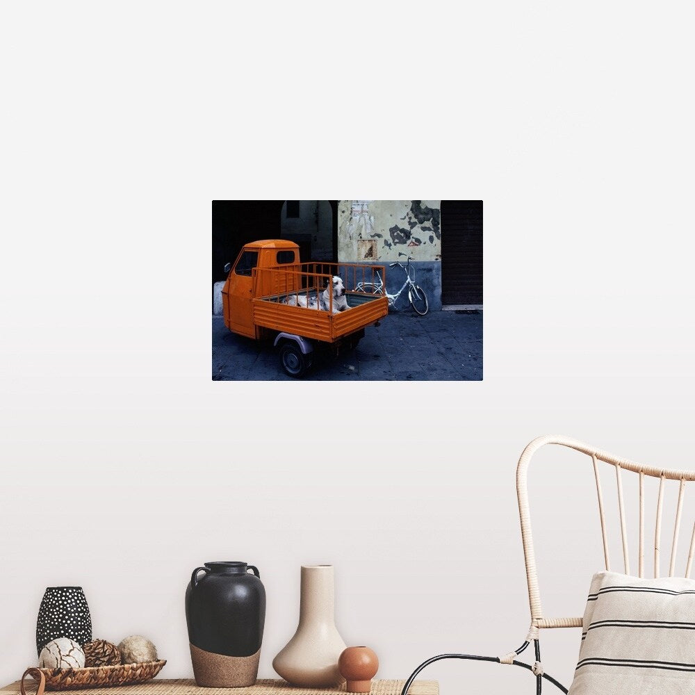 "Great Dane dog in the back of tiny orange 3-wheeled truck in Lucca, Tuscany, " Poster Print - Multi