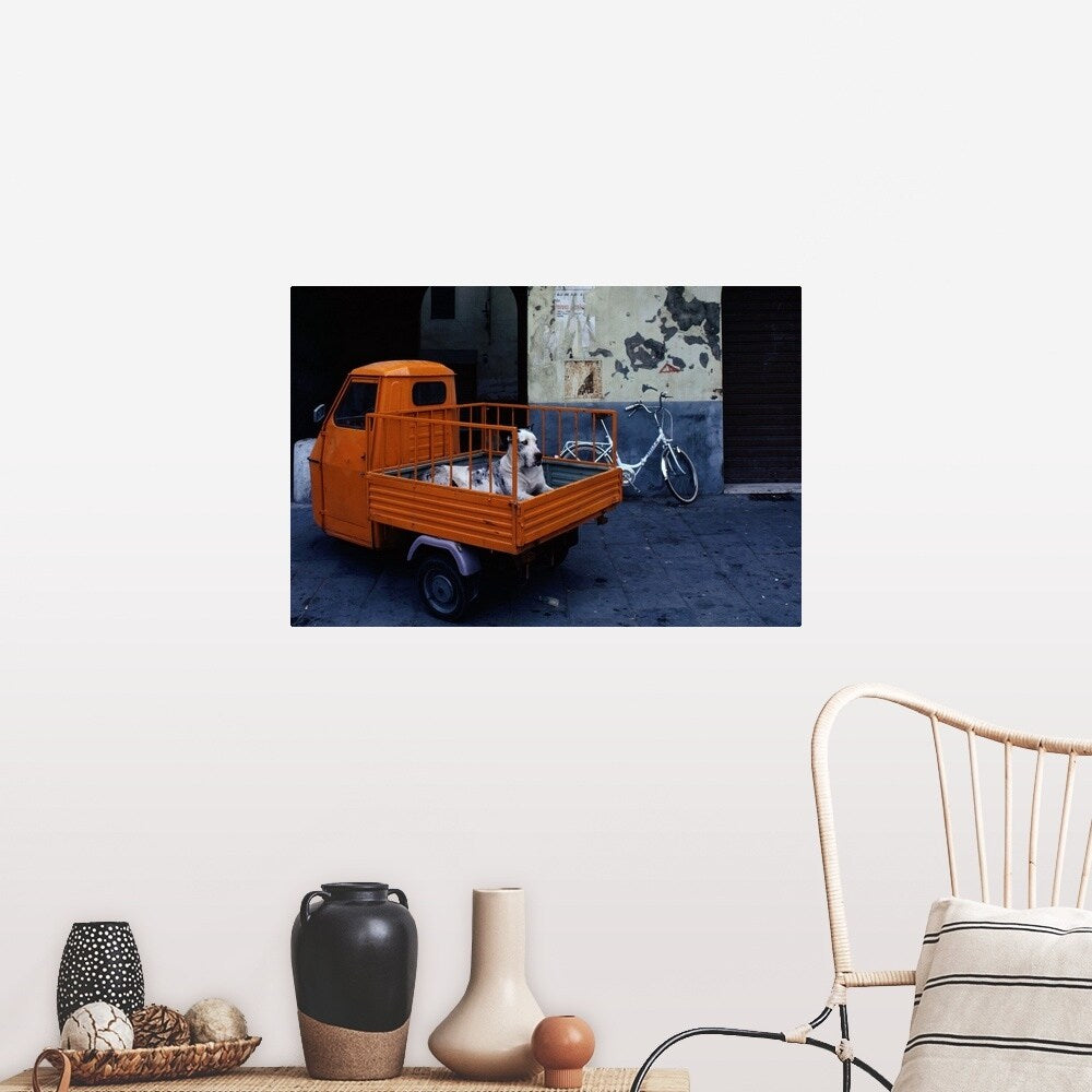 "Great Dane dog in the back of tiny orange 3-wheeled truck in Lucca, Tuscany, " Poster Print - Multi