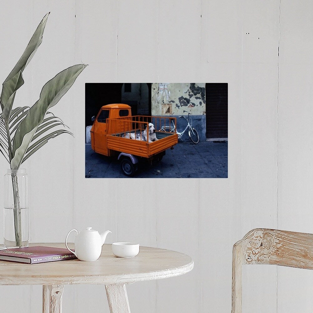 "Great Dane dog in the back of tiny orange 3-wheeled truck in Lucca, Tuscany, " Poster Print - Multi