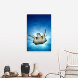 "Green turtle, Cancun, Mexico" Canvas Wall Art