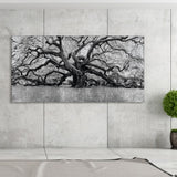 "The Angel Oak" Reverse Printed Tempered Glass with Silver Leaf