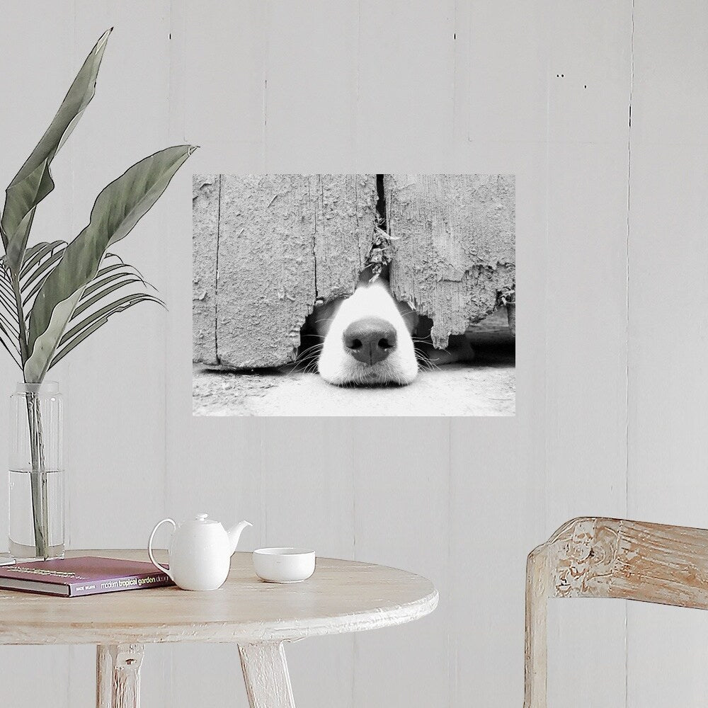 "Hunting puppy pokes nose out from under the barn door." Poster Print - Multi