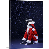 "Italian greyhound wearing a Santa Claus suit" Canvas Wall Art