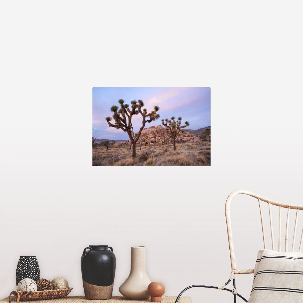 "Joshua Trees" Poster Print