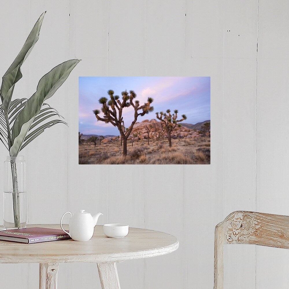 "Joshua Trees" Poster Print