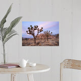 "Joshua Trees" Poster Print