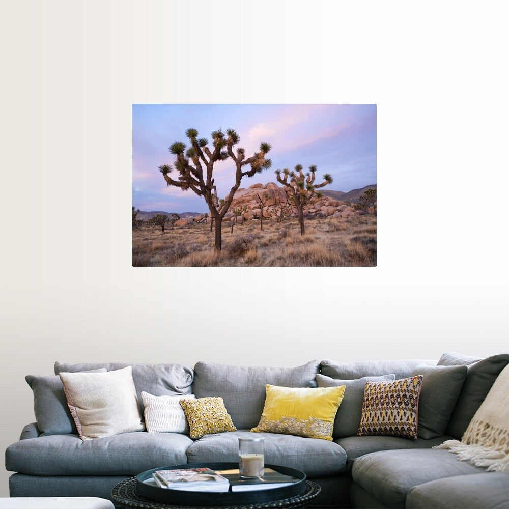 "Joshua Trees" Poster Print