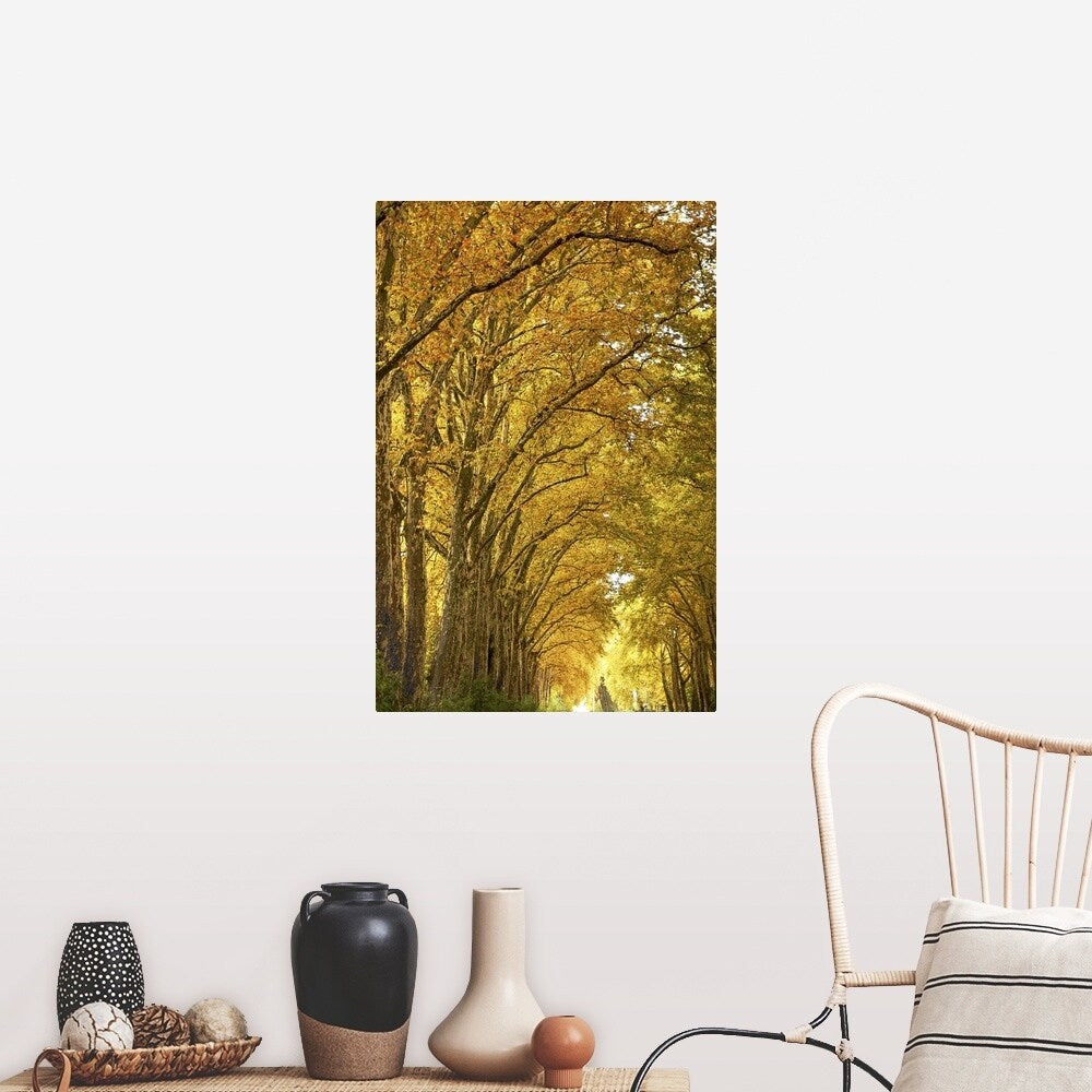 "Lane of plane trees." Poster Print - Multi