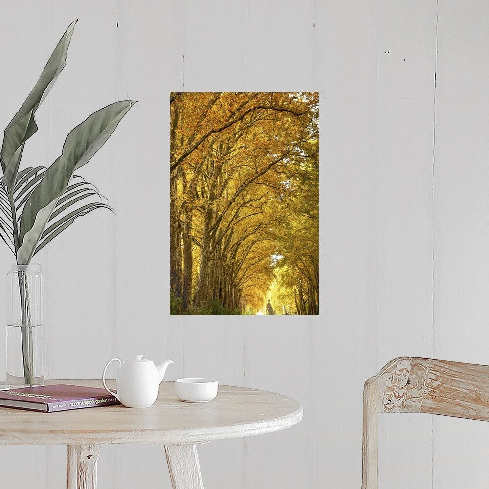 "Lane of plane trees." Poster Print - Multi