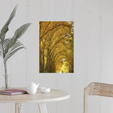 "Lane of plane trees." Poster Print - Multi