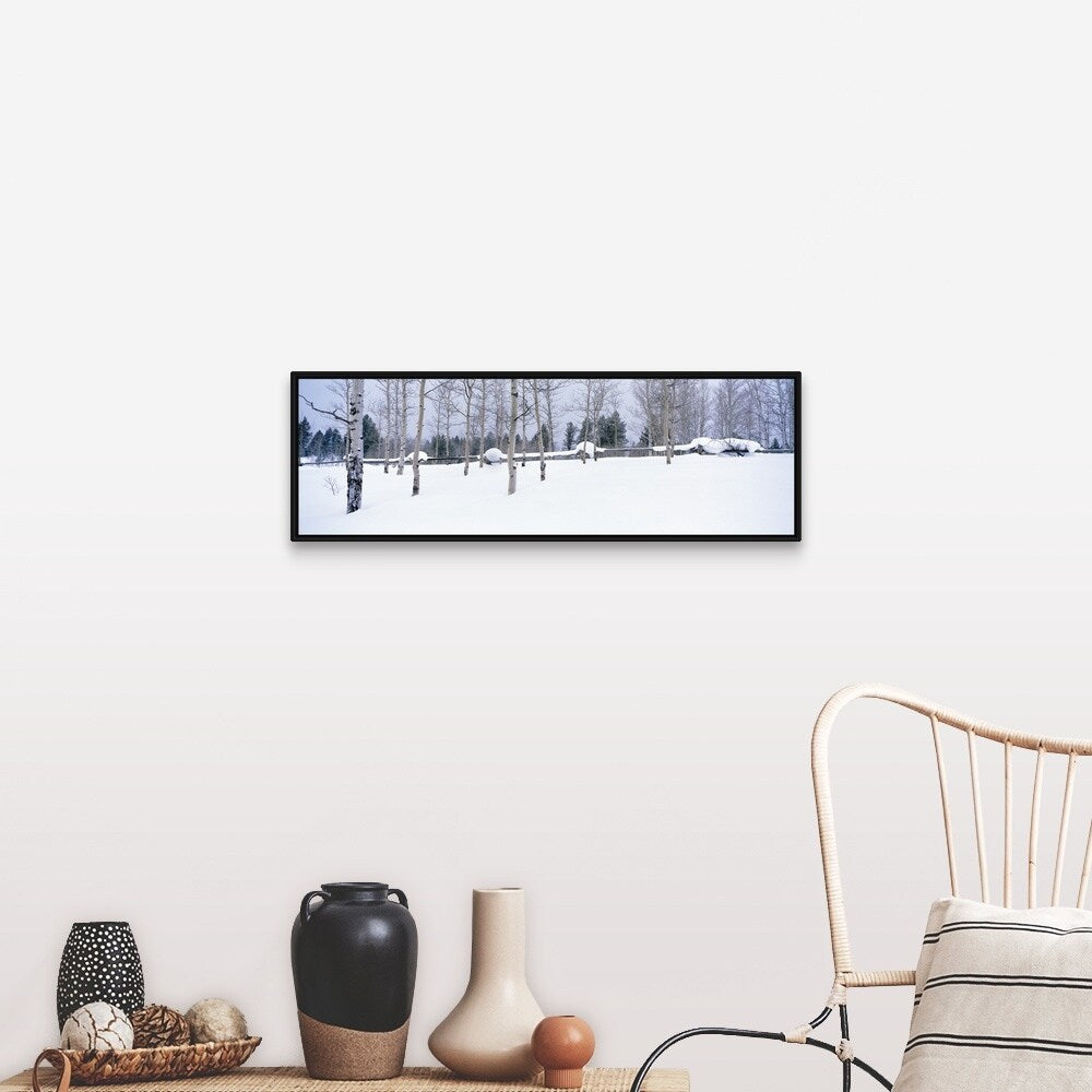 "Montana, fence, aspen, snow, winter" Black Float Frame Canvas Art