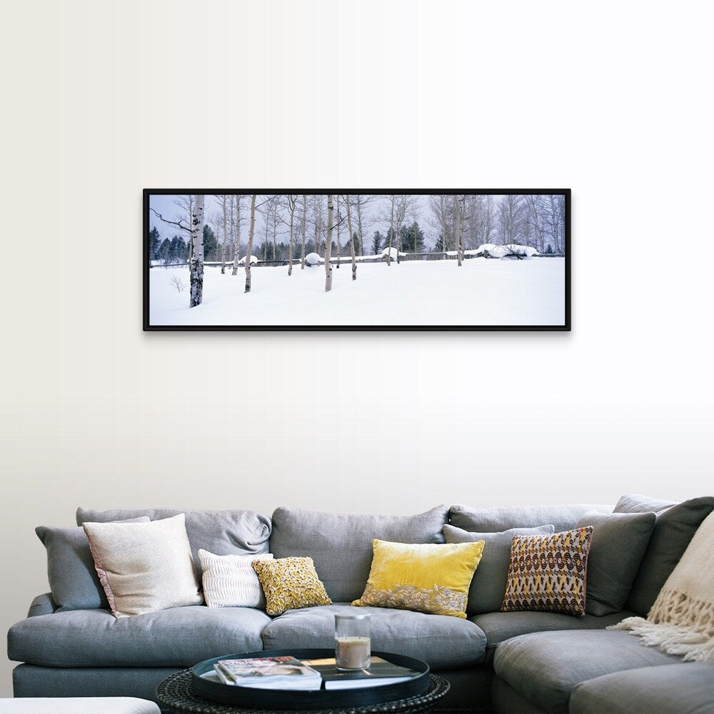 "Montana, fence, aspen, snow, winter" Black Float Frame Canvas Art