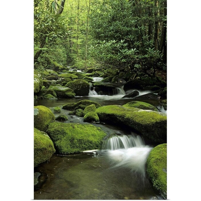 "Mountain stream, Great Smoky Mountains National Park, Tennessee" Poster Print - Multi